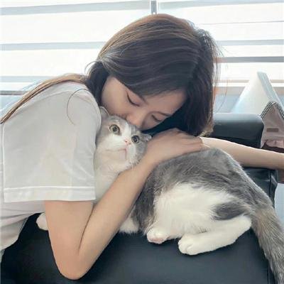内地佳片
